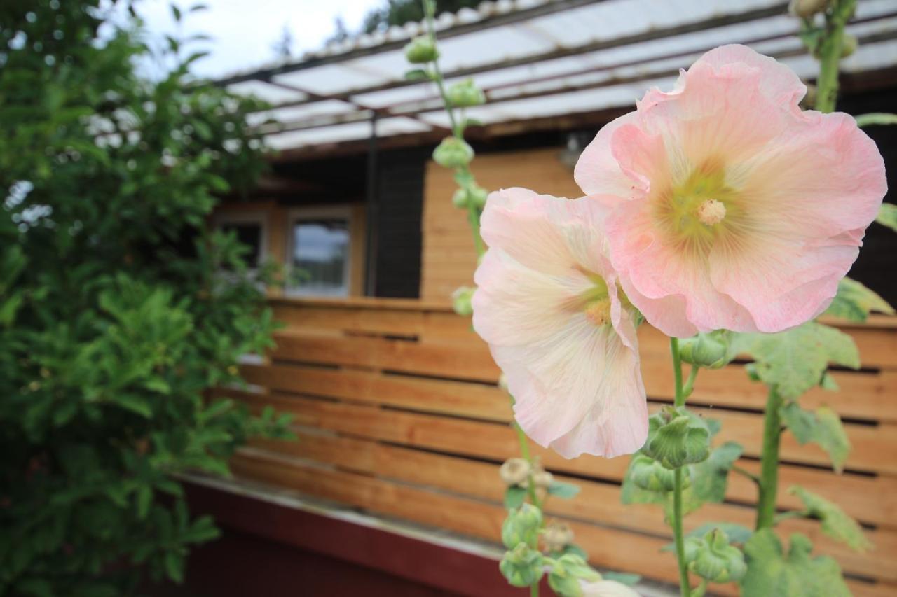 Ferienhaus Am Wald ทัมบัค-ดีทฮัตซ์ ภายนอก รูปภาพ